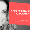 O que é Secretariado Remoto_ (2)